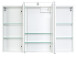 Spiegelschrank >Graphit< in Weiß - 100x64x20cm (BxHxT)