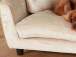 Tiersofa >Big I< in Austernfarbig aus Kunststoff - 82x47x54cm (BxHxT)