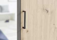 Kleiderschrank >Cilli< in Anthrazit - 159,3x196,3x53,5cm (BxHxT)
