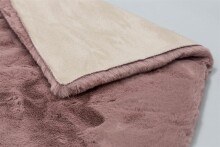 Teppich in Altrosa aus 100% Polyester - 180x120x2,5cm (LxBxH)