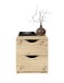 Nachtkommode >Luki< in Artisan Eiche Nachbildung - 40x45x42cm (BxHxT)