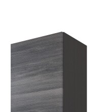 Hängeschrank >Arezzo< in Eiche Rauchsilber Nachbildung - 40x64x20cm (BxHxT)