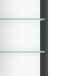 Spiegelschrank >Arezzo< in Graphit - 80x66x20cm (BxHxT)