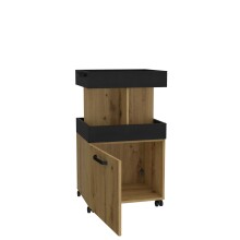 Barschrank >Hydra< in Artisan Eiche - 50,2x88,5x41,1cm (BxHxT)