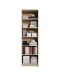 Regal >Lissy< in Sonoma-Eiche - 60x202x28cm (BxHxT)