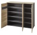 Schuhschrank >Meagan< in Artisan Eiche - 120x107x38cm (BxHxT)