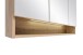 Badezimmerspiegelschrank >Kaprun< (B/H/T: 100x64x20 cm) in wotaneiche