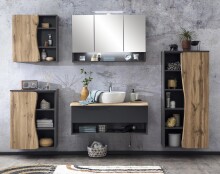 Badezimmerspiegelschrank >Kaprun< (B/H/T: 100x64x20 cm) in graphit