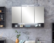 Badezimmerspiegelschrank >Kaprun< (B/H/T: 100x64x20 cm) in graphit