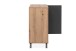 Kommode >Medan< (BxHxT: 80x85x40 cm) in Artisan Oak / Anthrazit