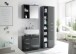 Badezimmerspiegelschrank >Grey< in Glas Grau - 69x60x25 (BxHxT)