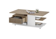 Couchtisch >Ally< in Artisan - 110x44,5x60cm (BxHxT)