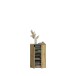 Schuhkommode >Projekt X< in Artisan Eiche - 61x99x34cm (BxHxT)