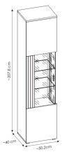 Glasvitrine >ALVERNO< in Asche/Coast Evoke Eiche Lamelle-Dekor - 50x208x40 (BxHxT)
