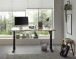 Schreibtisch >Ben< höhenverstellbar, Eiche Dekor / schwarz - 160x74/117x77cm (BxHxT)