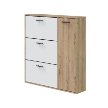 Schuhschrank >CLASS< 3 Klappen, 1 Tür, Nodi...