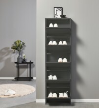 Schuhkipper >Bert< 5 Klappen, 10 paar Schuhe, in anthrazit, Metall - 51x170x16cm (BxHxT)