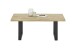 Couchtisch >HAVANNA< in Eiche, Massivholz / Metall - 110x45x70cm (BxHxT)