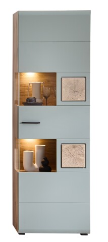 Vitrine >Kathlin< 1 Tür, inkl. LED, schilfgrün / Eiche Dekor - 65x205x37 (BxHxT)