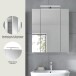 Badezimmerspiegelschrank >Ice< in Weiß / Weiß Hochglanz - 60x55x46cm (BxHxT)