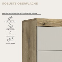 Hängeschrank >Scout< in Evoak Oak / Kaschmir - 37x79x24cm (BxHxT)