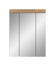 Badezimmerspiegelschrank >Scout< in Evoak Oak / Spiegel - 60x79x18cm (BxHxT)