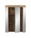 Badezimmerspiegelschrank >Scout< in Evoak Oak / Spiegel - 60x79x18cm (BxHxT)