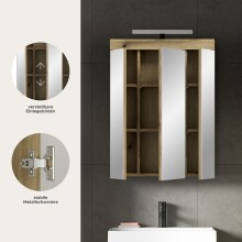 Spiegelschrank >Scout< in Evoak Oak / Spiegel - 60x79x18cm (BxHxT)