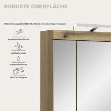 Spiegelschrank >Scout< in Evoak Oak / Spiegel - 60x79x18cm (BxHxT)