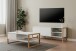 Couchtisch >Denver< in weiß / Dekor Artisan Oak - 100x40x55cm (BxHxT)