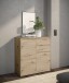 Kommode >Brest< 2 Türen, 2 Schübe, Artisan Dekor - 60x84x35cm (BxHxT)