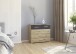 Kommode >Mosbach< in Eiche Artisan / grau metallic - 80x81x420 (BxHxT)