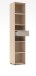 Aktenregal >Santorin< in Riva Eiche / Cashmere - 40x198x38 (BxHxT)