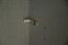 Schwebetürenschrank >palermo< in WEISS + GRAPHIT - 250x216x65 (BxHxT)