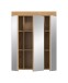 Badezimmerspiegelschrank >Scout< in Eiche Dekor / Spiegel - 60x79x18cm (BxHxT)