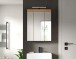 Badezimmerspiegelschrank >Scout< in Eiche Dekor / Spiegel - 60x79x18cm (BxHxT)