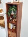 Hängeregal >WL6.522< in Sheesham, Massivholz - 35x150x30cm (BxHxT)